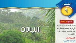 حل الفصل التاسع النباتات علوم ثاني متوسط ف2